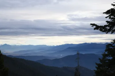 DSC_0067 (Large).JPG